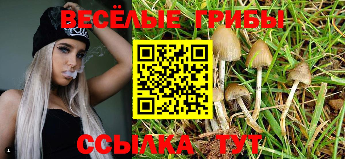 Псилоцибиновые грибы прущие грибы Кемерово